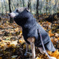 Woolen Dog Vest - Charcoal - MellowConceptStore