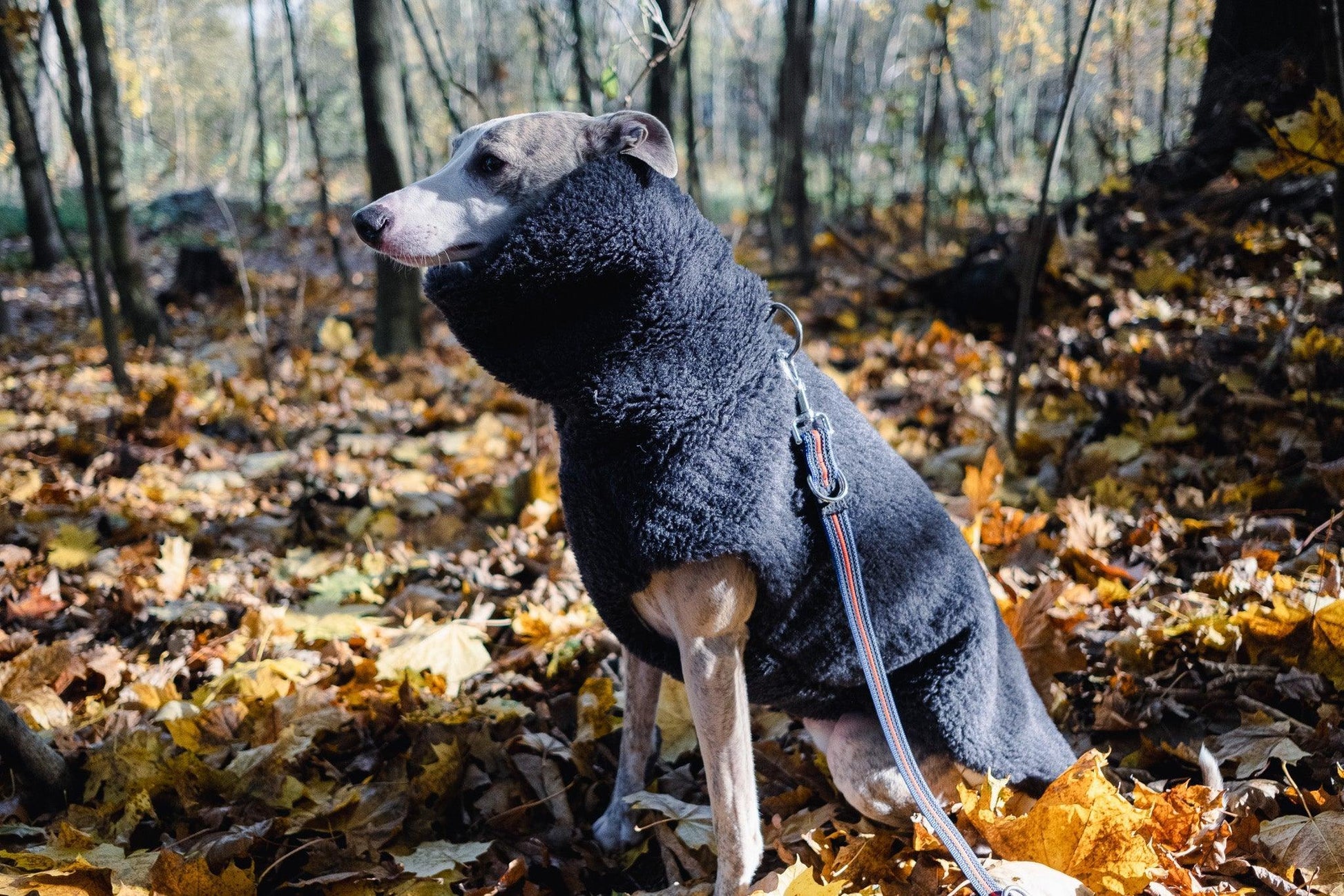 Woolen Dog Vest - Charcoal - MellowConceptStore