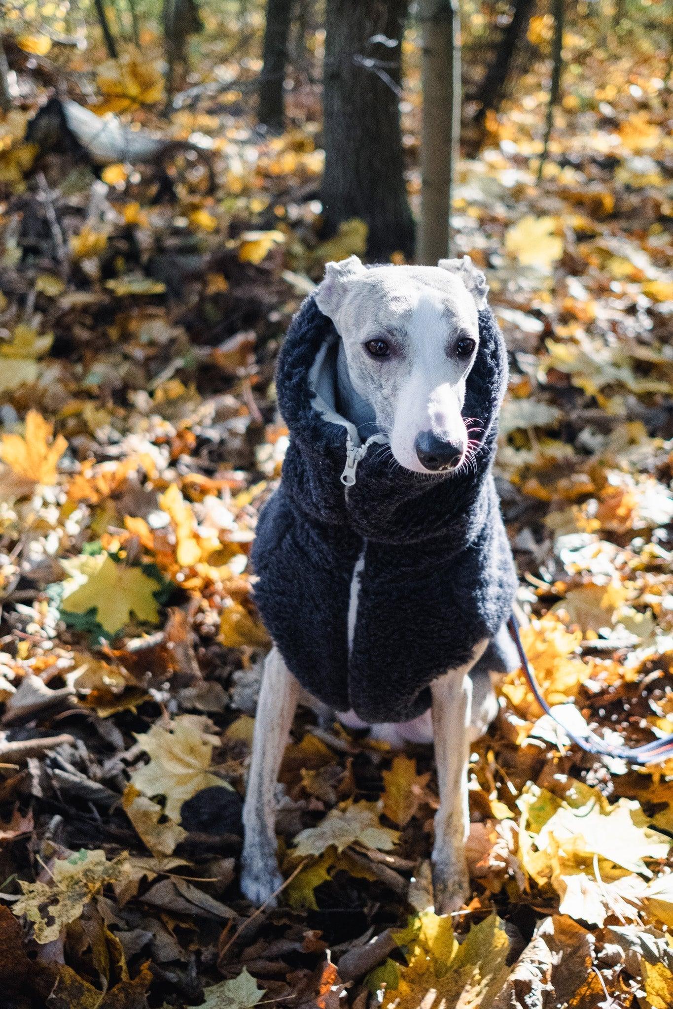 Woolen Dog Vest - Charcoal - MellowConceptStore