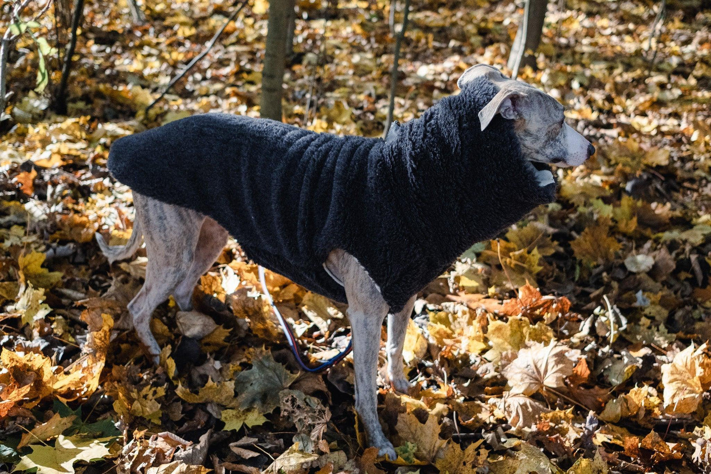Woolen Dog Vest - Charcoal - MellowConceptStore