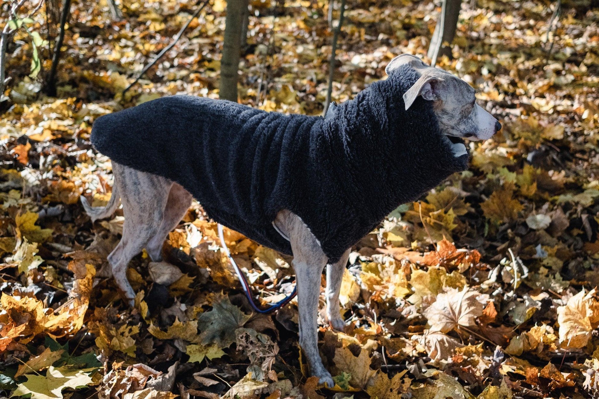 Woolen Dog Vest - Charcoal - MellowConceptStore