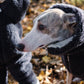Woolen Dog Vest - Charcoal - MellowConceptStore