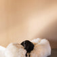 A black dog is lying on a Mellow Pet Store Oval Natural Sheepskin Pet Bed, creating a cozy and stylish environment for your furry friend.