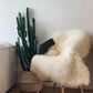 Natural Sheepskin Rug - Ivory - MellowConceptStore