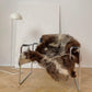 Natural Sheepskin Rug - Rare Breed - MellowConceptStore