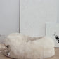 Oval Natural Sheepskin White Pet Bed