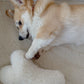 Natural Sheepskin Dog Toy - Bone - White - MellowConceptStore