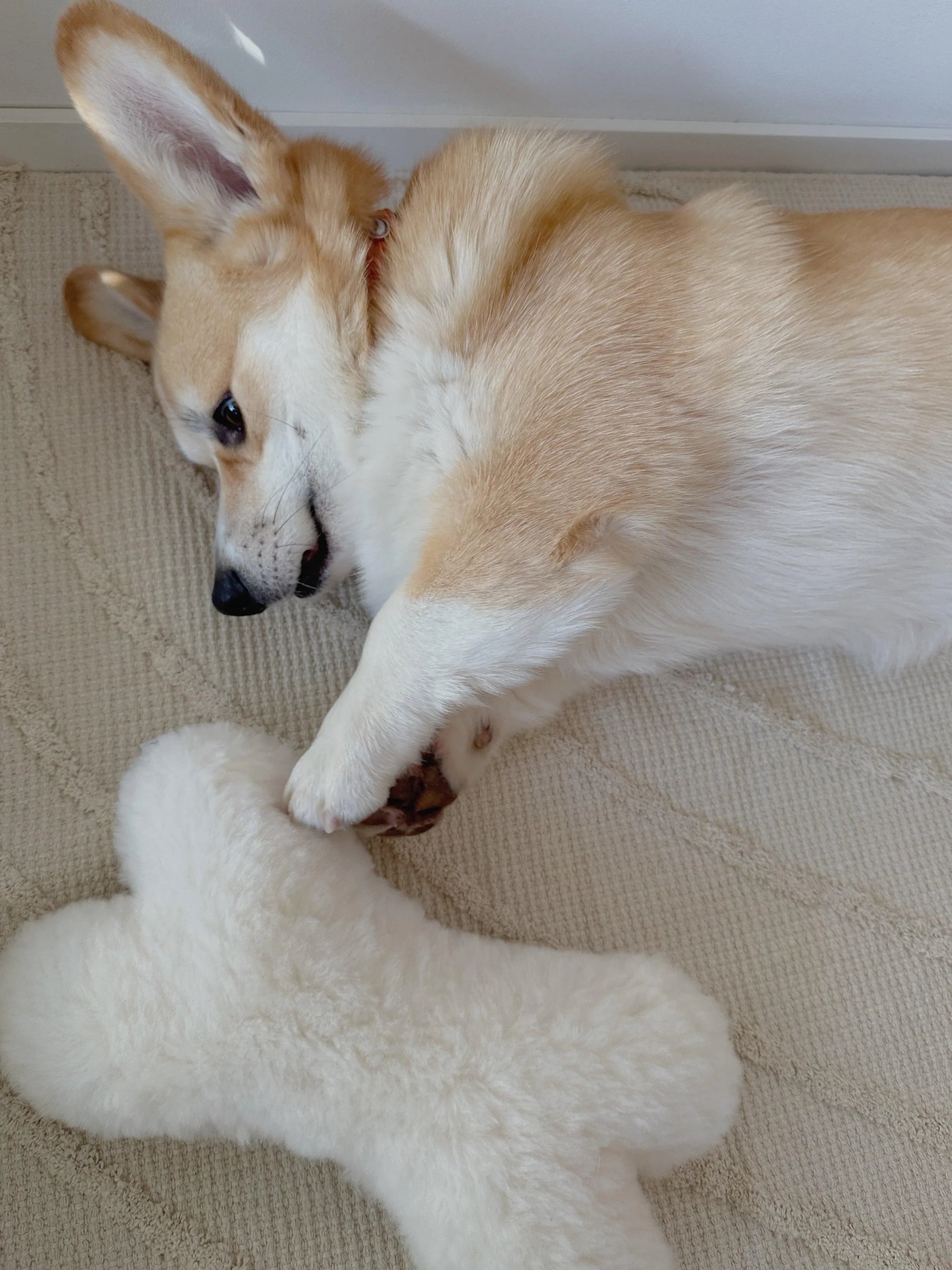Natural Sheepskin Dog Toy - Bone - White - MellowConceptStore