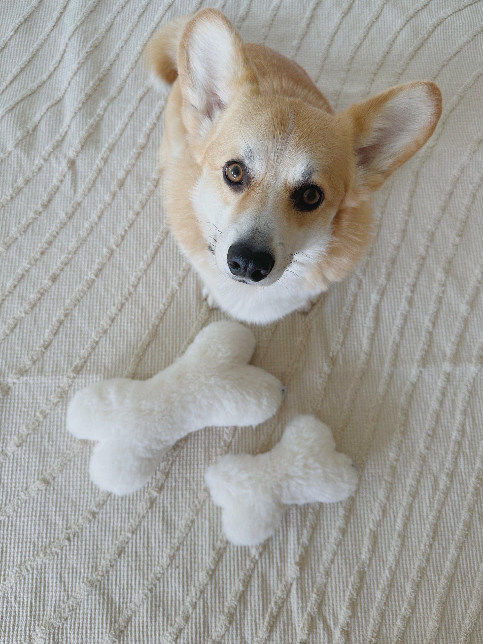 Natural Sheepskin Dog Toy - Bone - White - MellowConceptStore