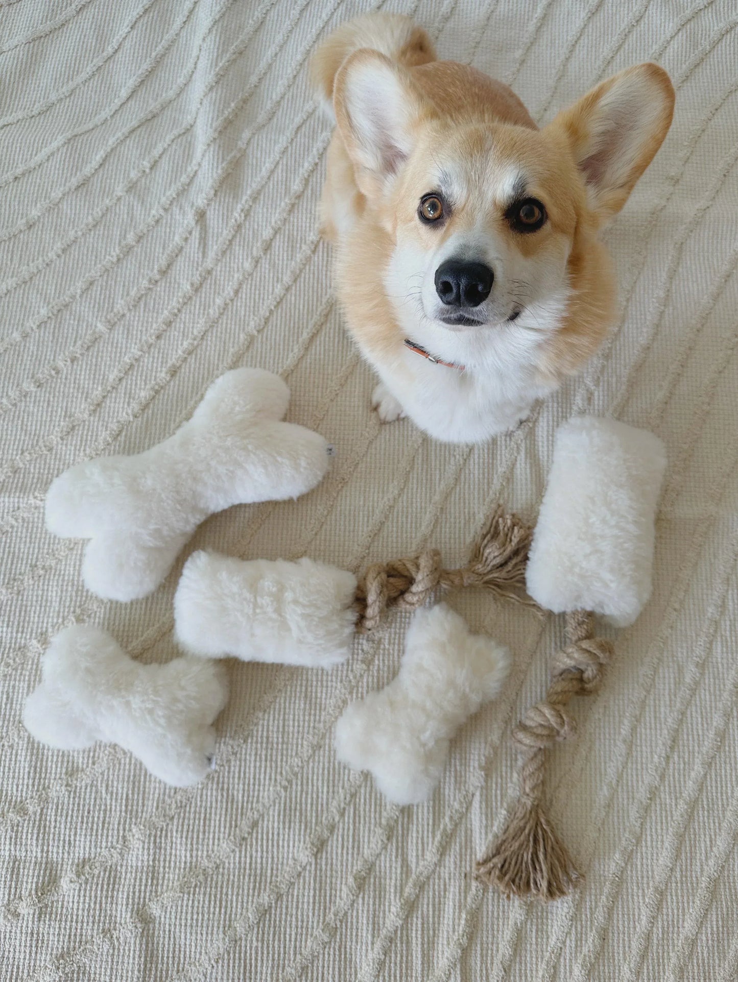 Natural Sheepskin Dog Toy - Bone - Black - MellowConceptStore