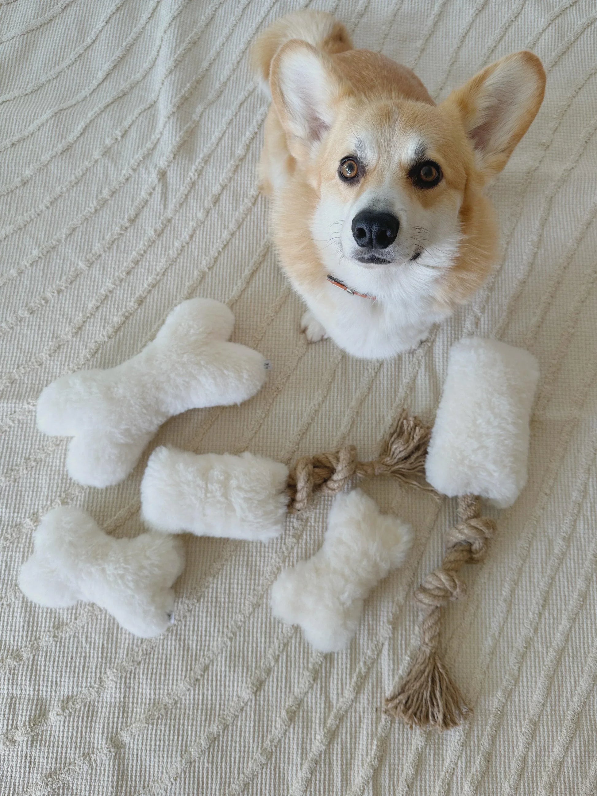 Natural Sheepskin Dog Toy - Bone - Black - MellowConceptStore